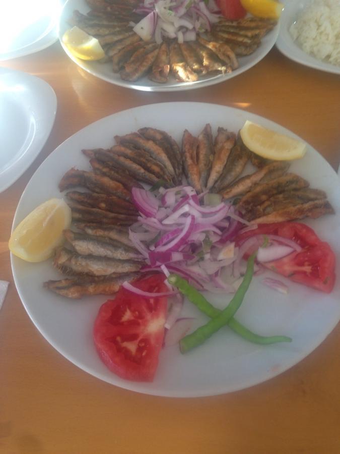 Türkeli Omer Deniz Motel מראה חיצוני תמונה